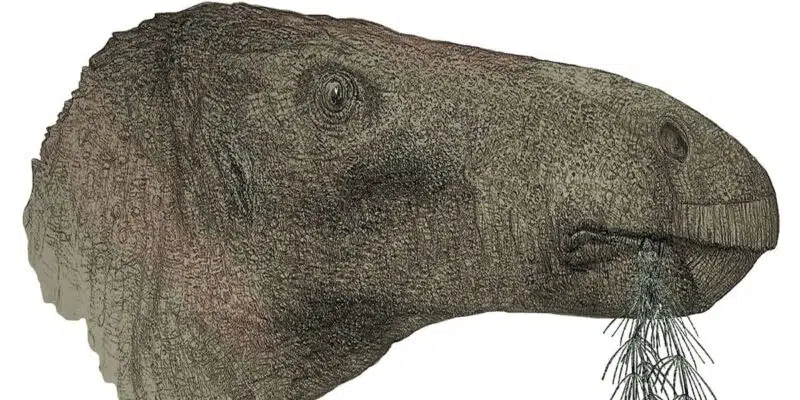 کشف کامل‌ترین فسیل دایناسور در جزیره وایت