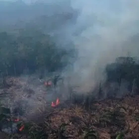 آتش سوزی های گسترده در جنگل آمازون برزیل
