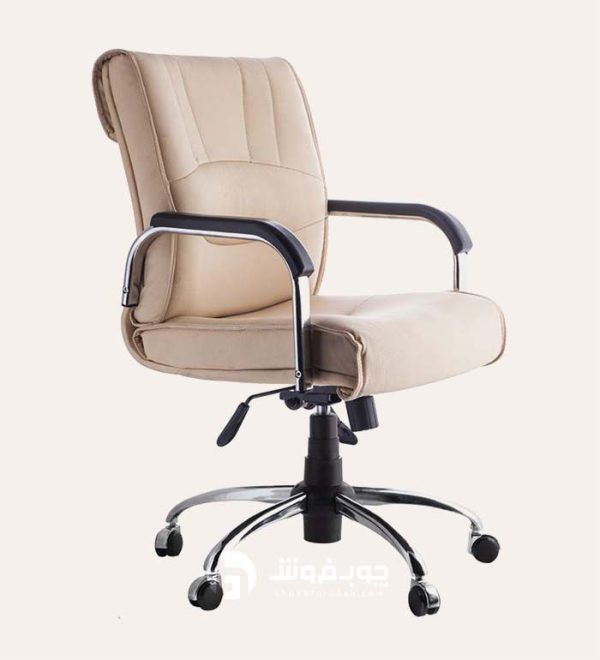 صندلی اداری ارگونومیک مدل eC109