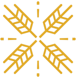 لوگو شرکت زرین مهر قومس