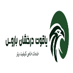 لوگو یاقوت درخشان باروس