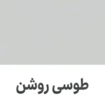 رنگ طوسی روشن